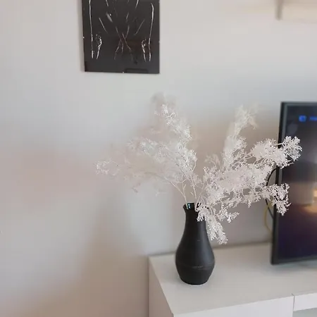 Bella Vista シベニク