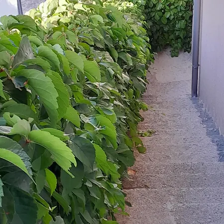 アパート Bella Vista シベニク