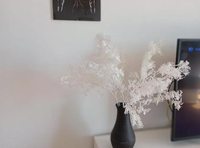 Bella Vista Šibenik