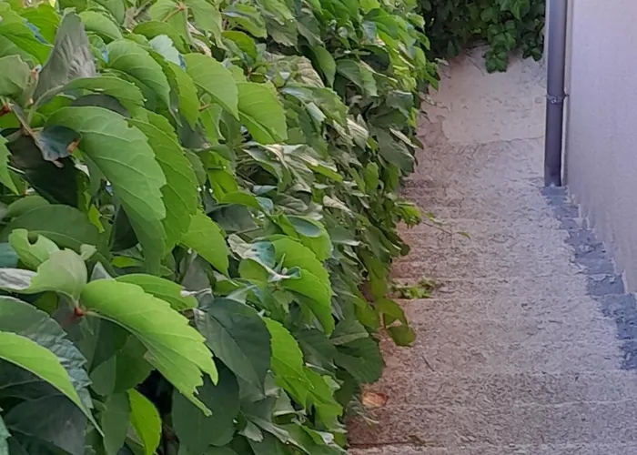 Apartman Bella Vista Šibenik